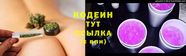 индика Зерноград