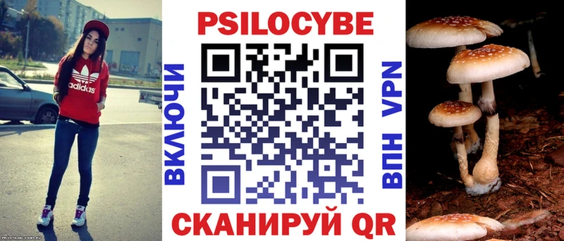 купить  сайты  Невельск  Псилоцибиновые грибы мухоморы 